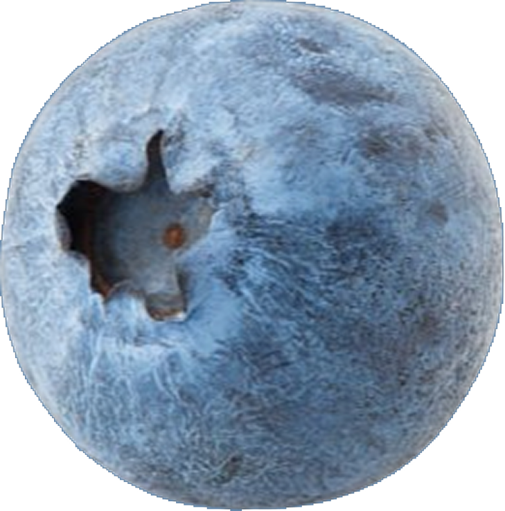 blueberry